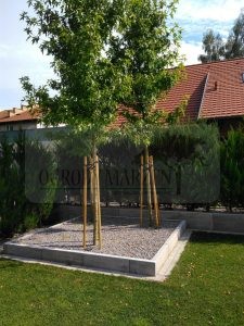 IMG_20170804_154040-Medium