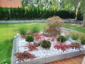 IMG_20170804_154248-Medium