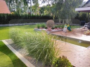 IMG_20170804_154305-Medium