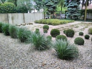 IMG_20170804_161400-Medium