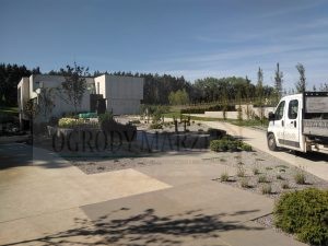 IMG_20170808_095223-Medium