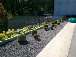 IMG_20170808_095254-Medium