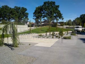 IMG_20170808_095306-Medium