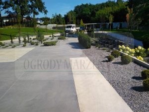 IMG_20170808_095309-Medium