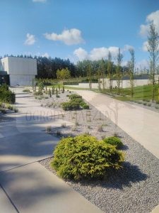 IMG_20170828_110253-Medium