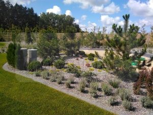 IMG_20170828_113639-Medium