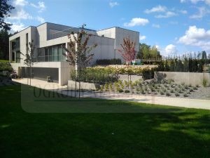 IMG_20170828_114428-Medium