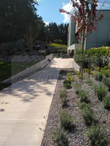 IMG_20170828_114444-Medium