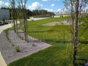 IMG_20170828_114522-Medium