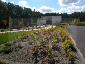 IMG_20170828_114547-Medium