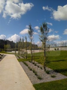 IMG_20170828_114622-Medium