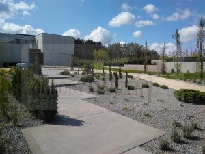 IMG_20170828_114635-Medium