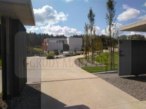 IMG_20170828_114722-Medium