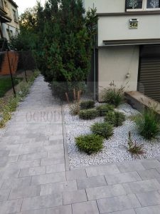 IMG_20170921_173643-Medium