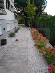 IMG_20170921_174010-Medium