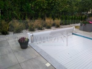 IMG_20170921_174035-Medium-Medium