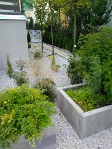 IMG_20170921_174039-Medium