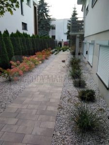 IMG_20170921_174107-Medium