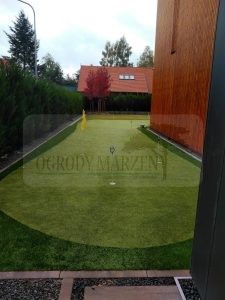 IMG_20171003_094401-Medium