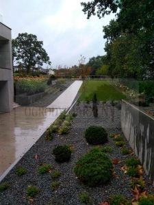 IMG_20171006_090704-Medium