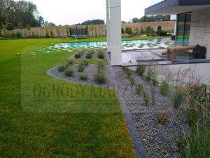 IMG_20171006_091659-Medium