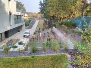 IMG_20171018_104742-Medium