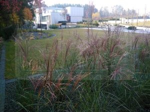 IMG_20171018_112314-Medium