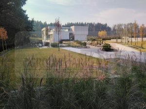 IMG_20171018_112327-Medium