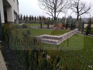 IMG_20171201_093646-Medium