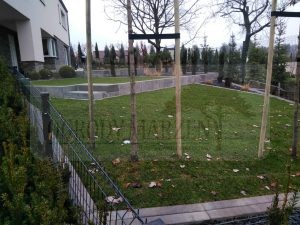 IMG_20171201_093651-Medium