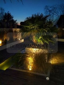 IMG_20171203_162256-Medium