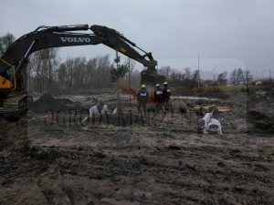 IMG_20171206_113521-Medium