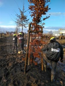 IMG_20171208_130642-2-Medium