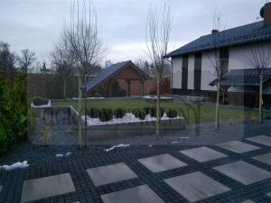 IMG_20171211_153405-2-Medium