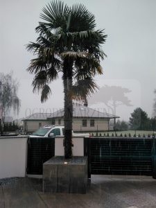 IMG_20171214_150248-Medium