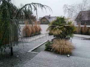 IMG_20171214_150319-Medium