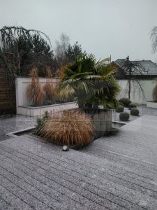 IMG_20171214_150337-Medium