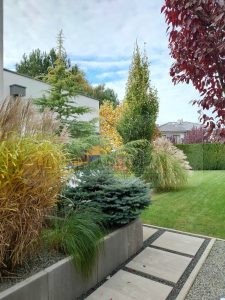 a6f5055b-5488-413e-b0a7-a40bda7e5a60-oG