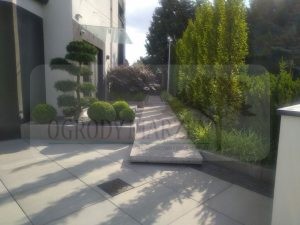 a887f7ea-1ddb-4347-a768-1195cb636d1b-ozBwCh