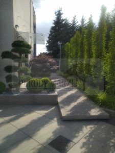 b39ab80a-bec1-4647-9296-f59857a29ded-ozBwCh