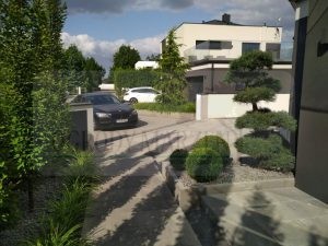 c7d3cf40-1e29-4d5a-abb4-1b91caf21ebf-ozBwCh