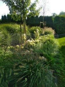 d2378bf7-4476-4678-8287-73b93971bc3e-oS