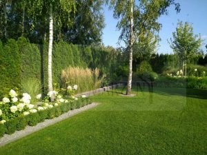 de562681-9896-4eda-9bbf-4648f4714767-oS