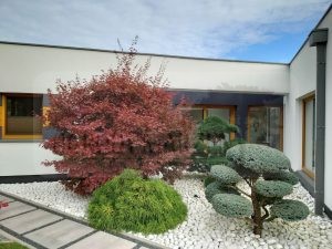 df089699-48f8-4d7c-adda-ad565c230597-oG