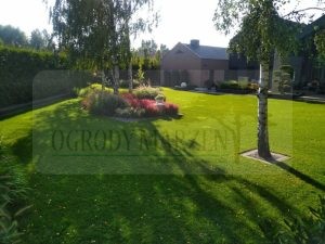 e68b92e2-4c1c-4847-a6c6-653b8ac2acb1-oS