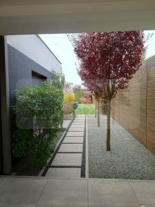 ee5aead2-b05e-411d-9da7-973e62b8bafb-oG