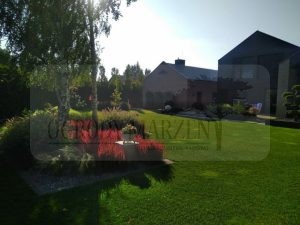 ef497e8e-ec46-4d58-8518-39b784fb0db6-oS