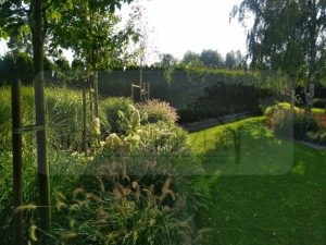 fc5f343e-b444-44f7-9788-582e7d7aba30-oS